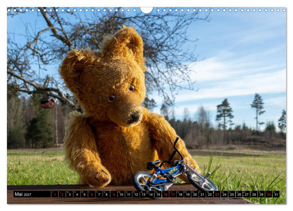 Neue Abenteuer von Teddy Basse (CALVENDO Wandkalender 2027)