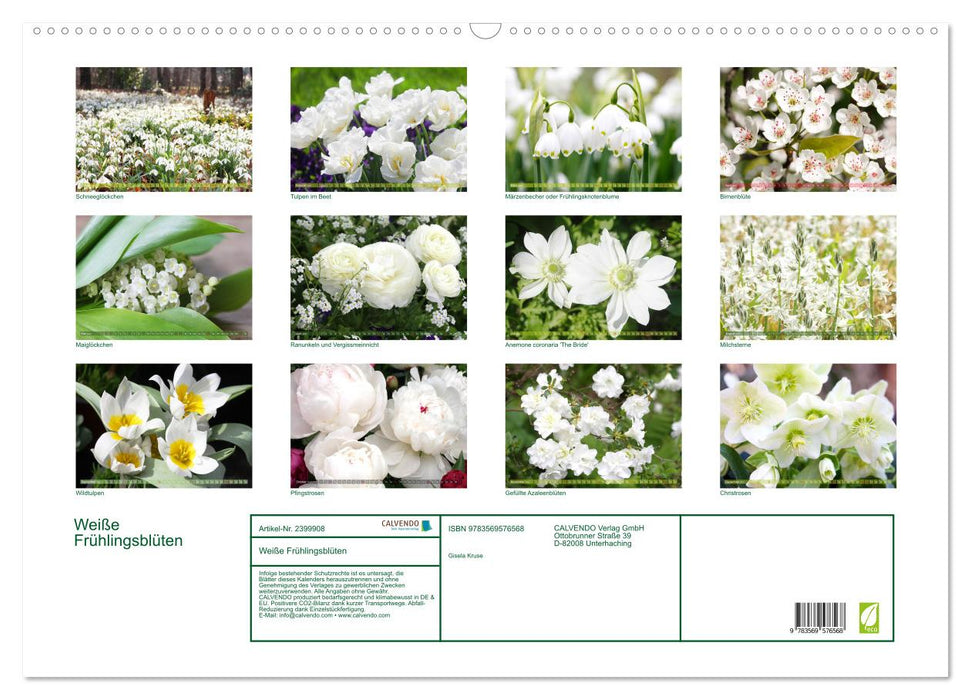 Weiße Frühlingsblüten (CALVENDO Wandkalender 2027)