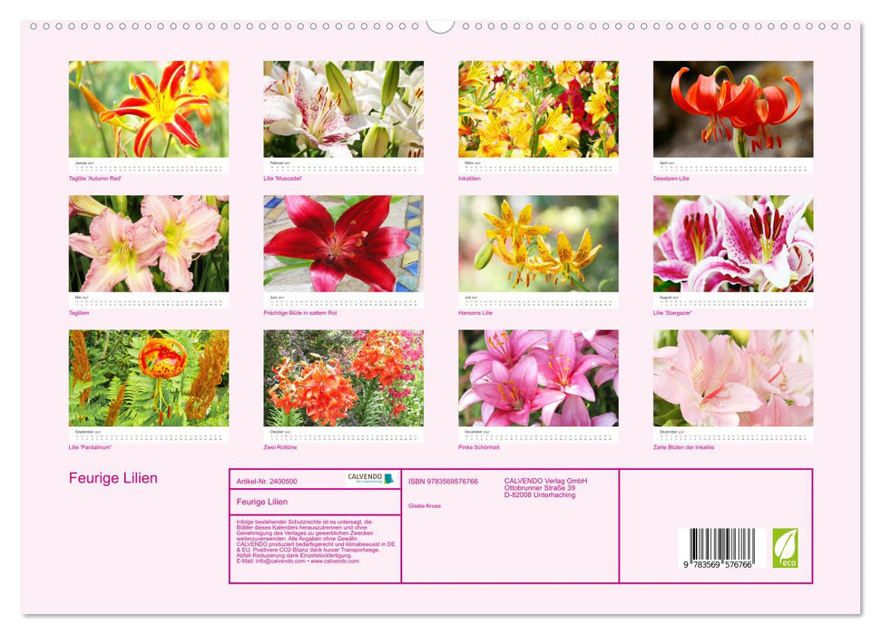 Feurige Lilien (CALVENDO Premium Wandkalender 2027)