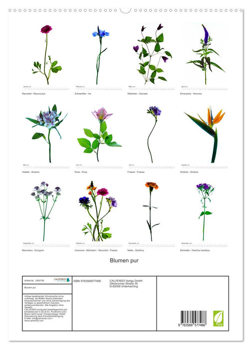 Blumen pur (CALVENDO Premium Wandkalender 2027)