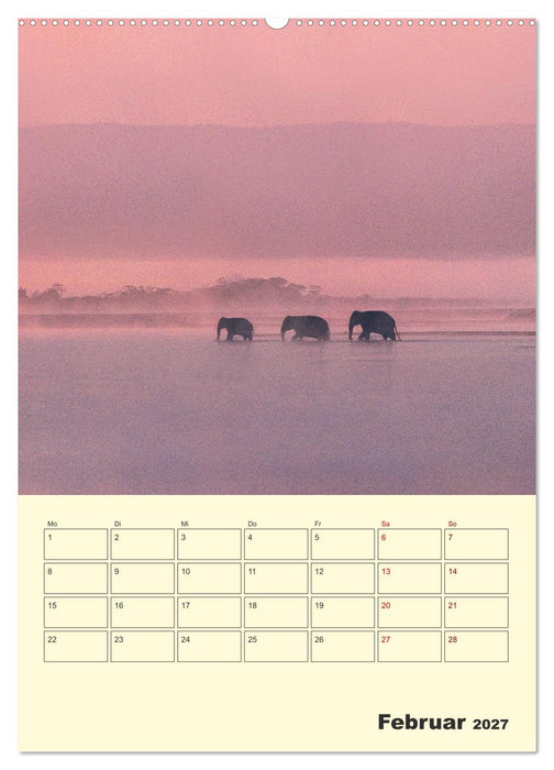 ELEFANTEN - Asiens graue Riesen (CALVENDO Premium Wandkalender 2027)