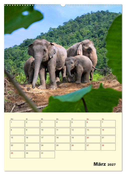 ELEFANTEN - Asiens graue Riesen (CALVENDO Premium Wandkalender 2027)