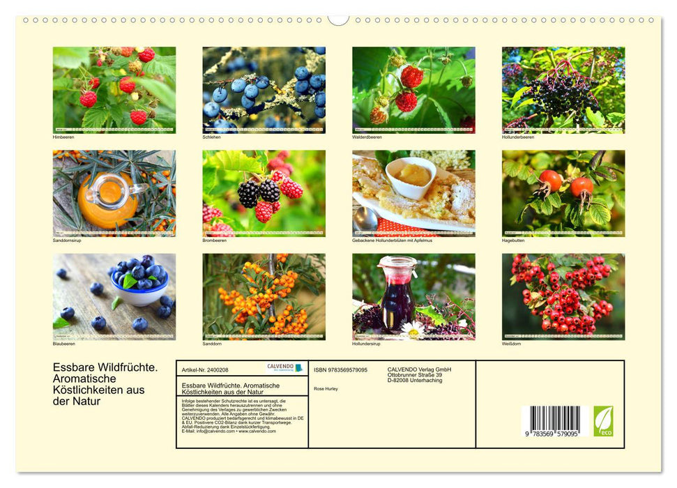 Essbare Wildfrüchte. Aromatische Köstlichkeiten aus der Natur (CALVENDO Premium Wandkalender 2027)