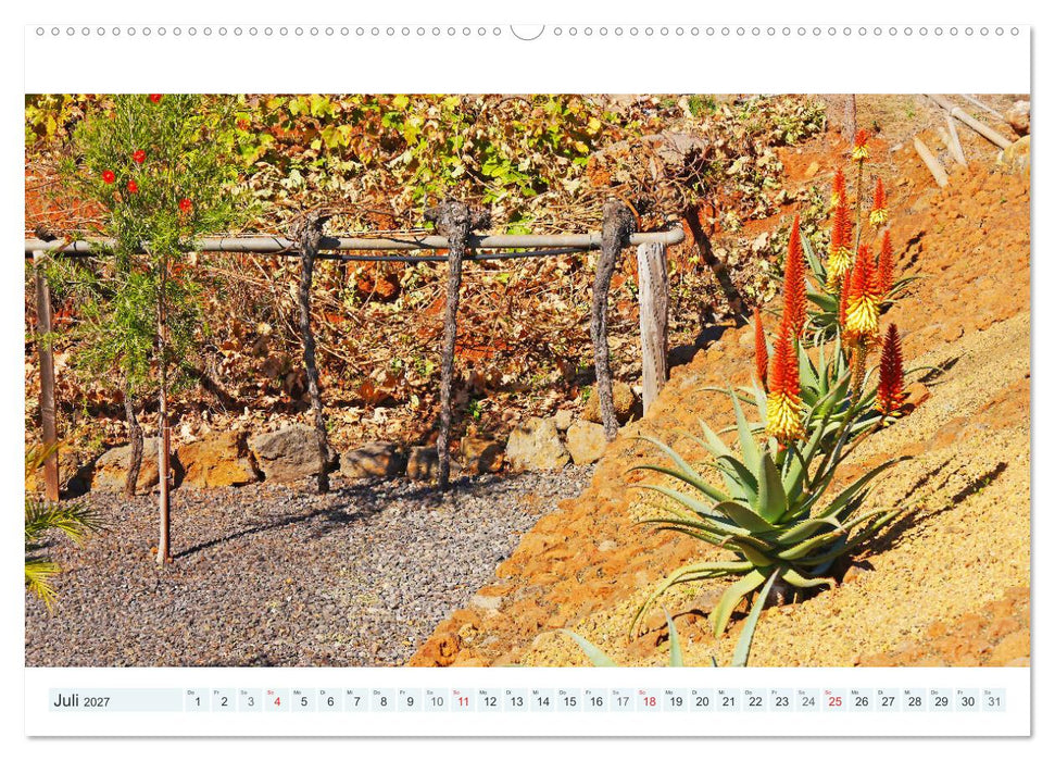 La Palma. Wandern, Flanieren und Genießen (CALVENDO Premium Wandkalender 2027)