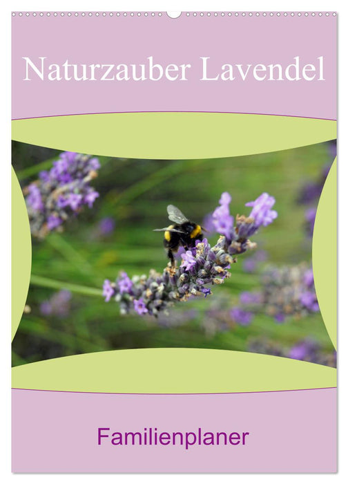 Naturzauber Lavendel - Familienplaner (CALVENDO Wandkalender 2027)
