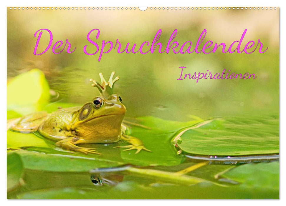 Der Spruchkalender - Inspirationen (CALVENDO Wandkalender 2027)