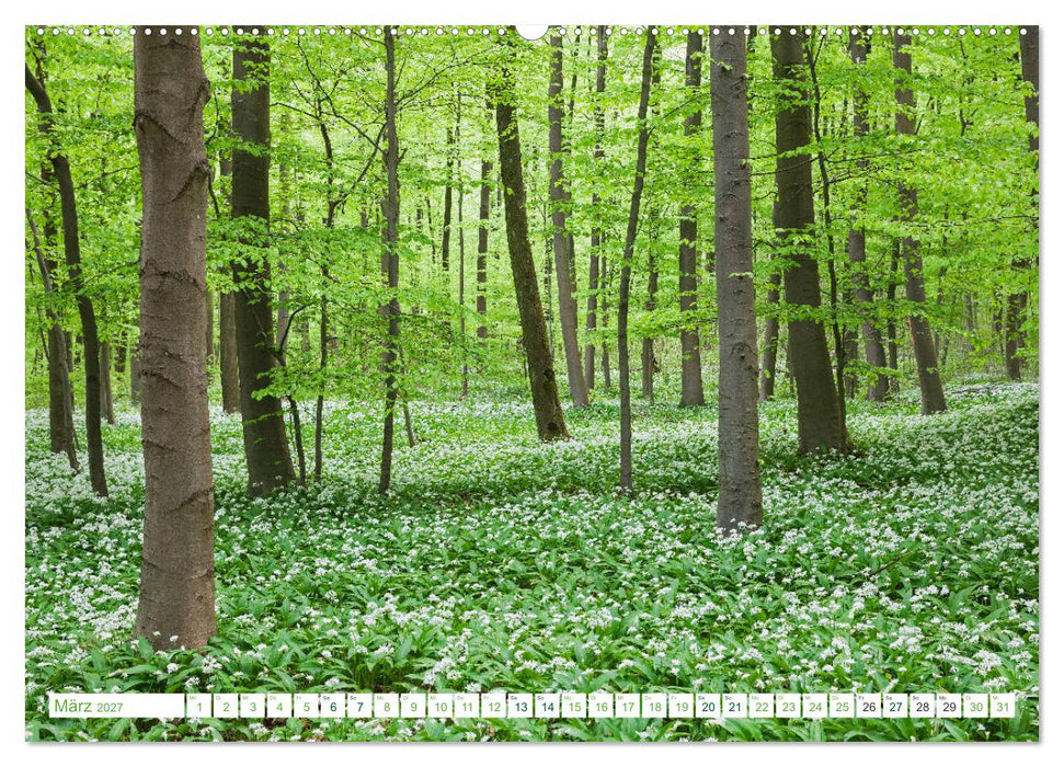 Eifel Sehnsucht (CALVENDO Wandkalender 2027)