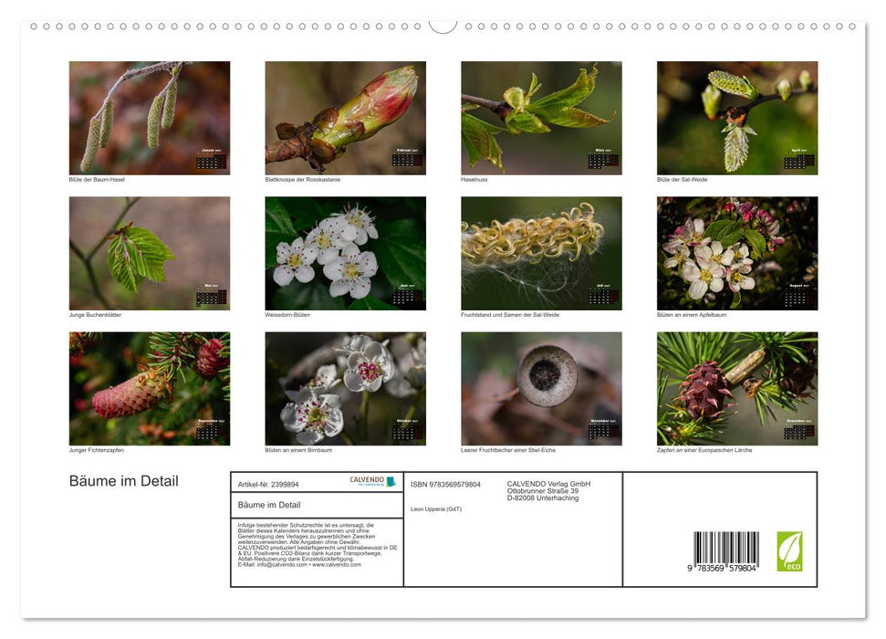 Bäume im Detail (CALVENDO Premium Wandkalender 2027)