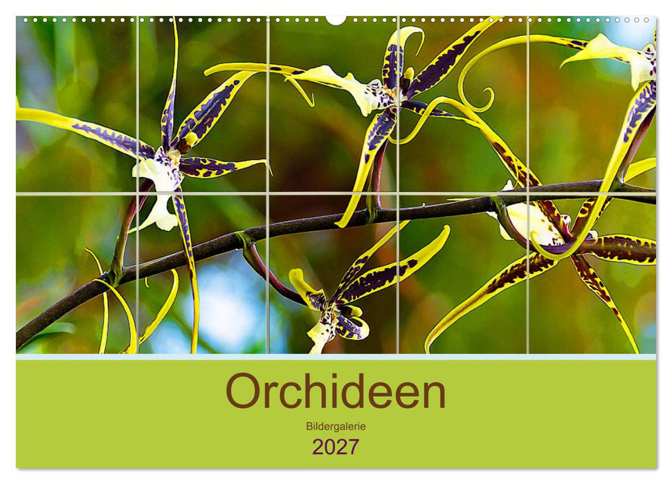 Orchideen Bildergalerie (CALVENDO Wandkalender 2027)