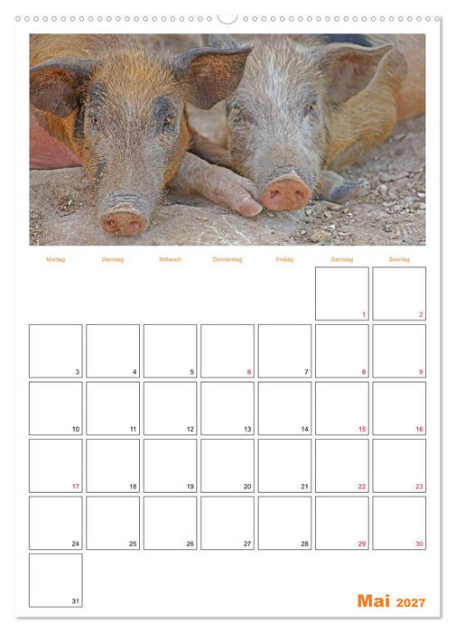 Gambia und Senegal erleben (CALVENDO Wandkalender 2027)