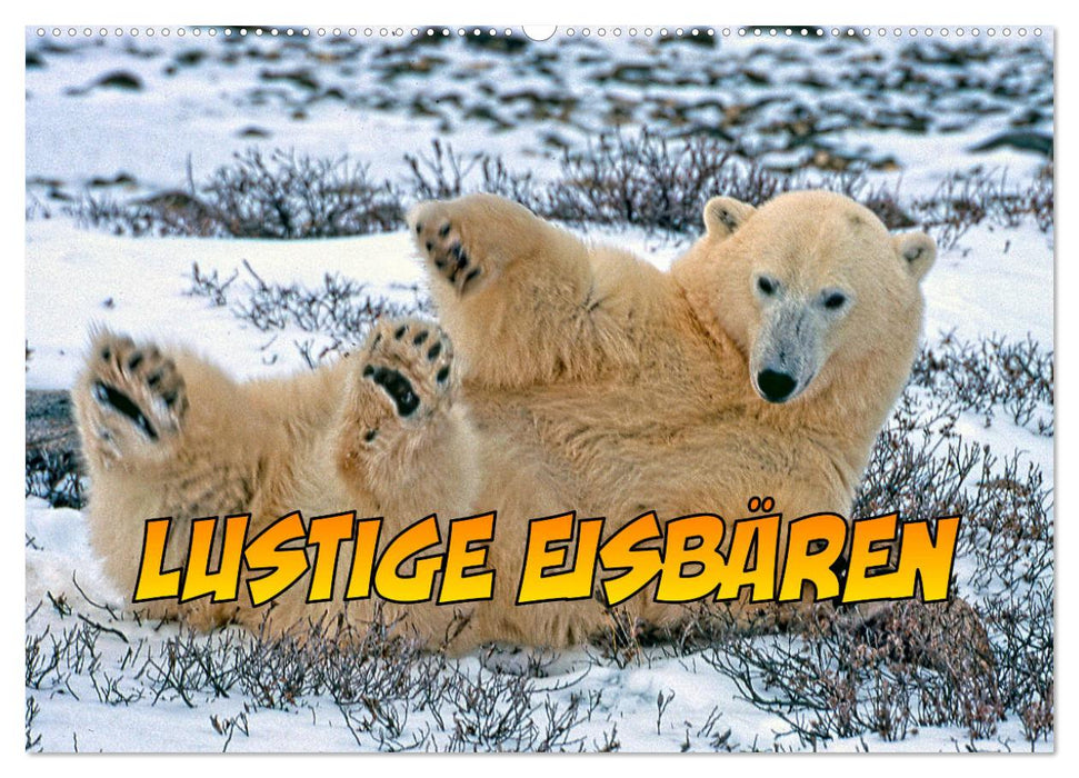 Lustige Eisbären (CALVENDO Wandkalender 2027)