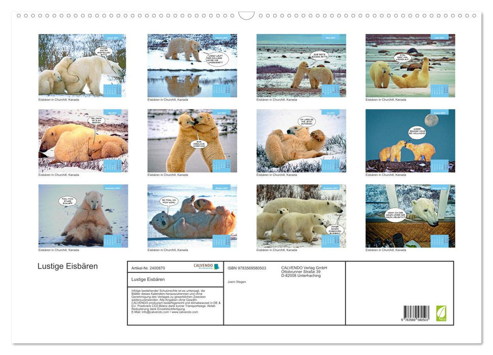 Lustige Eisbären (CALVENDO Wandkalender 2027)