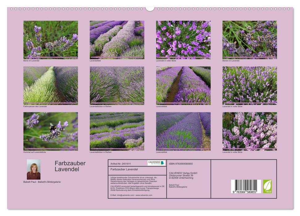 Farbzauber Lavendel (CALVENDO Premium Wandkalender 2027)