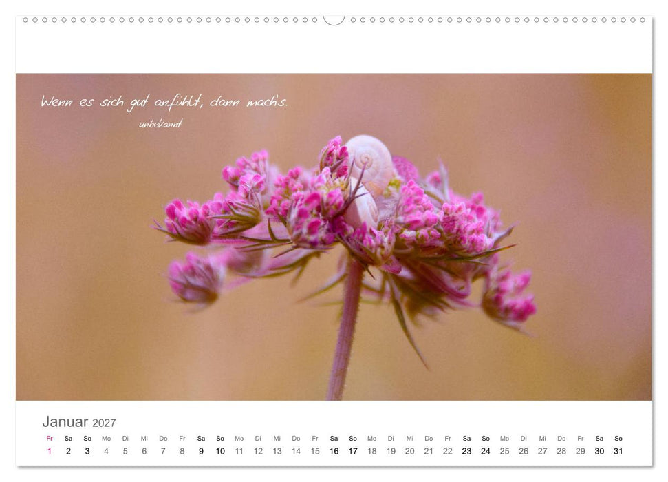 Rendezvous im Park (CALVENDO Wandkalender 2027)