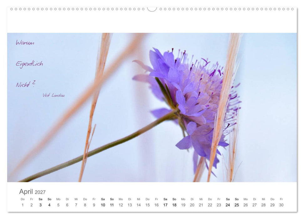 Rendezvous im Park (CALVENDO Wandkalender 2027)