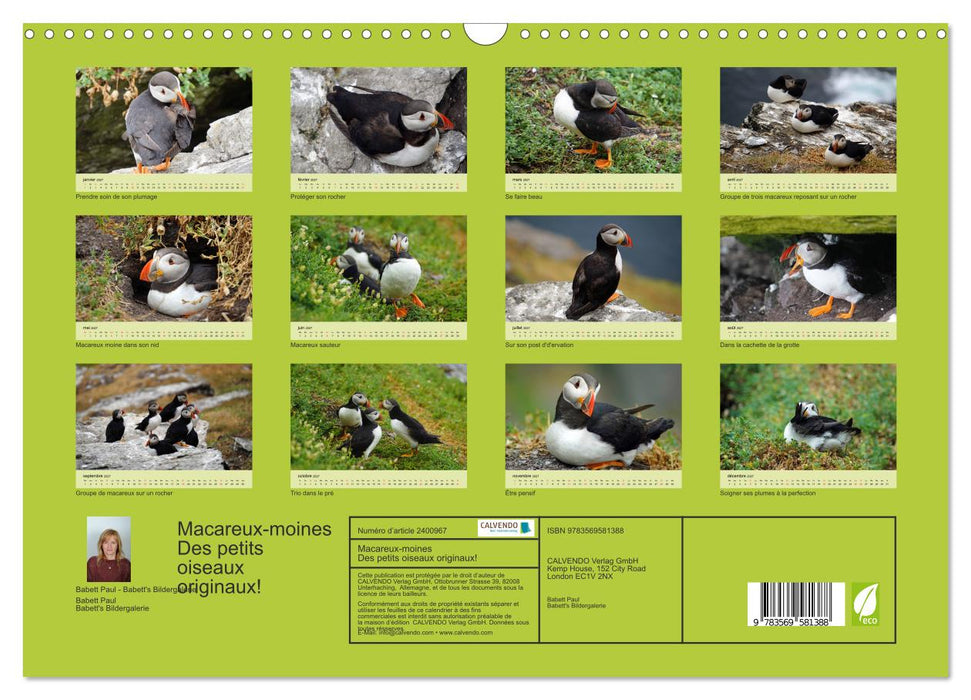Macareux-moines 
Des petits oiseaux originaux! (CALVENDO Calendrier mensuel 2027)