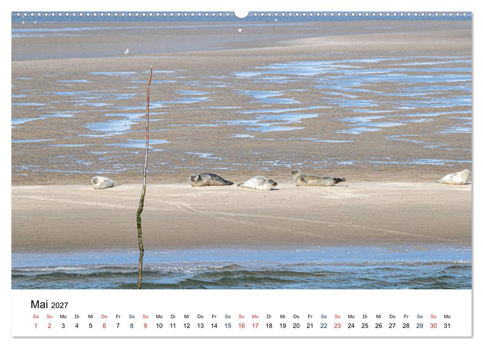 So schön ist Schleswig-Holstein (CALVENDO Wandkalender 2027)
