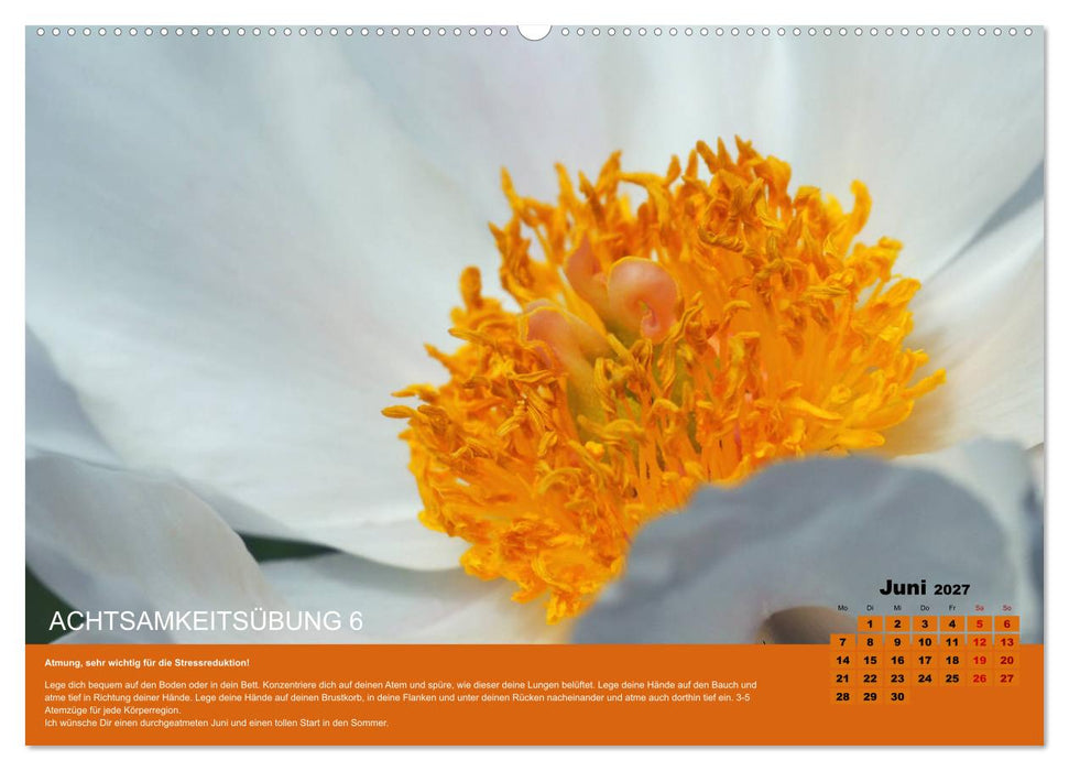 Achtsamkeit, 12 Übungen zu mehr Achtsamkeit. (CALVENDO Premium Wandkalender 2027)