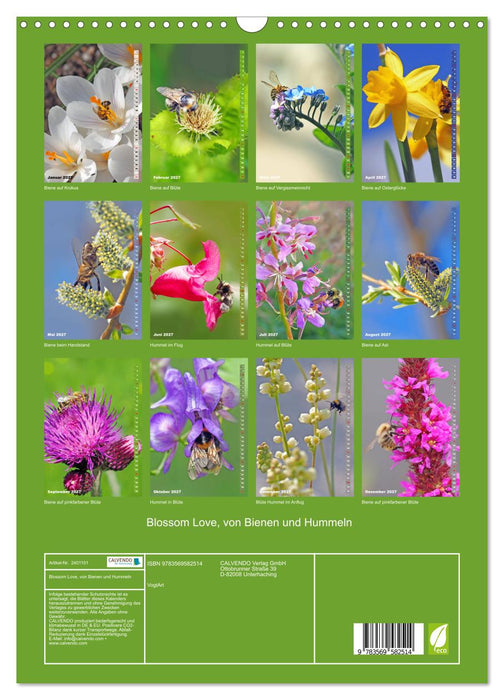 Blossom Love, von Bienen und Hummeln (CALVENDO Wandkalender 2027)