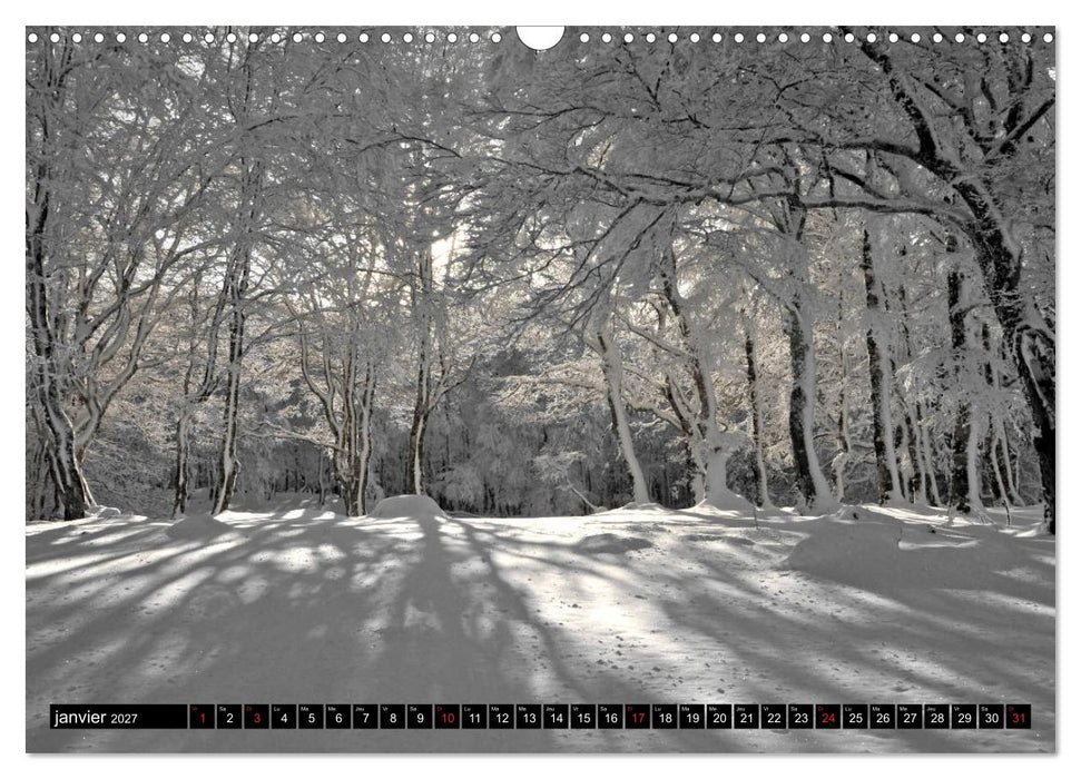 Collection Terre AUBRAC (CALVENDO Calendrier mensuel 2027)
