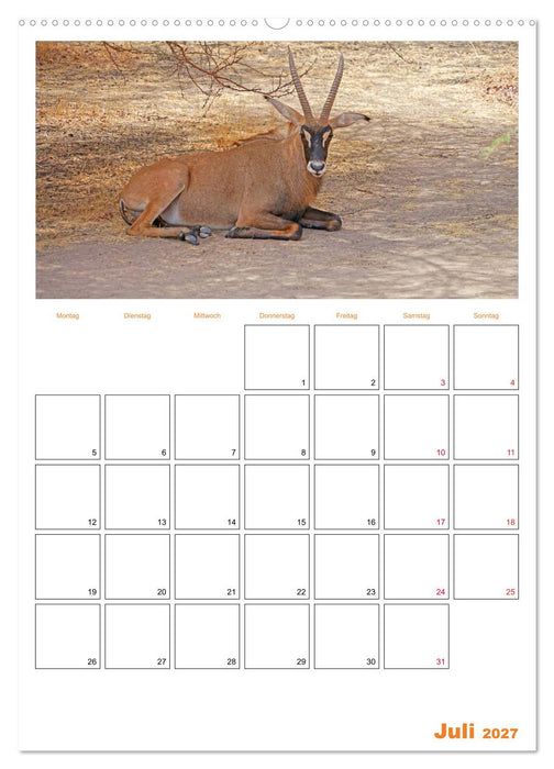 Gambia und Senegal erleben (CALVENDO Premium Wandkalender 2027)