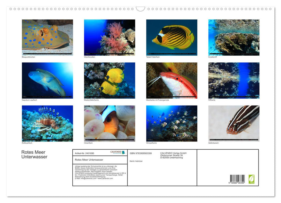 Rotes Meer Unterwasser (CALVENDO Wandkalender 2027)