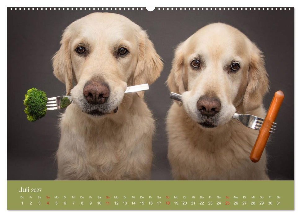 Grace und Cuba - Das verrückte Leben der Golden Girls (CALVENDO Premium Wandkalender 2027)