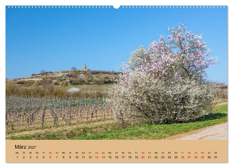 Bad Dürkheimer Ansichten (CALVENDO Wandkalender 2027)