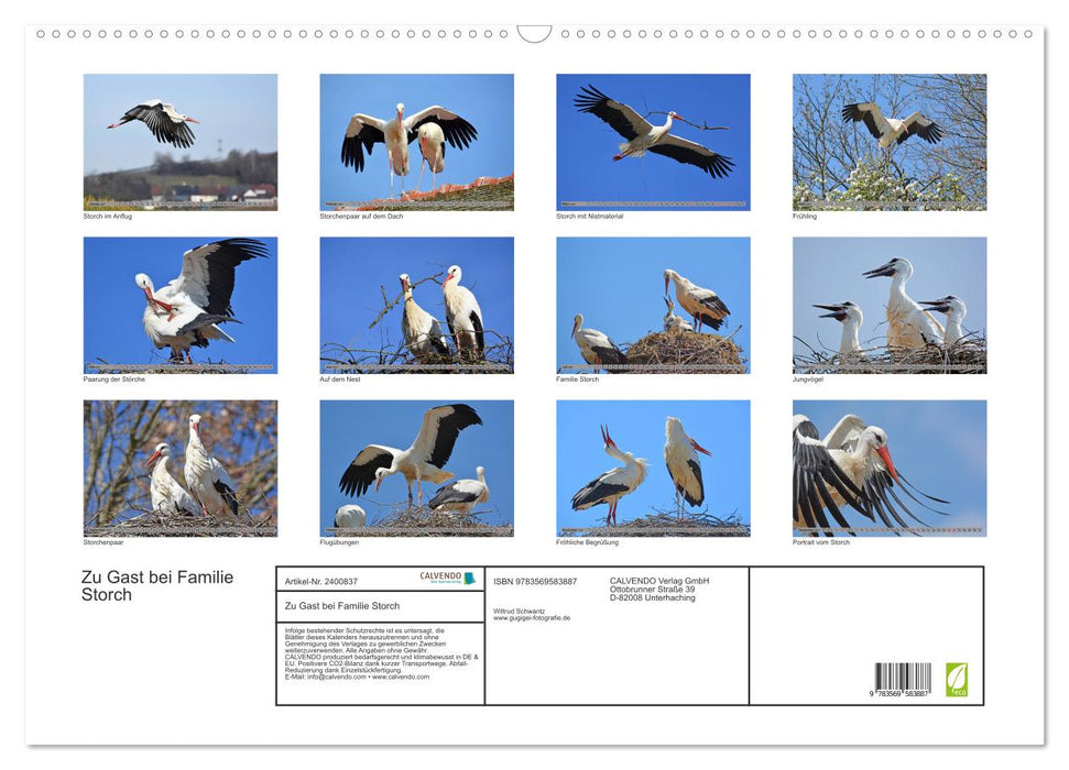 Zu Gast bei Familie Storch (CALVENDO Wandkalender 2027)