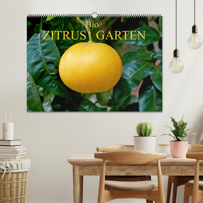 Bio Zitrus Garten (CALVENDO Wandkalender 2027)