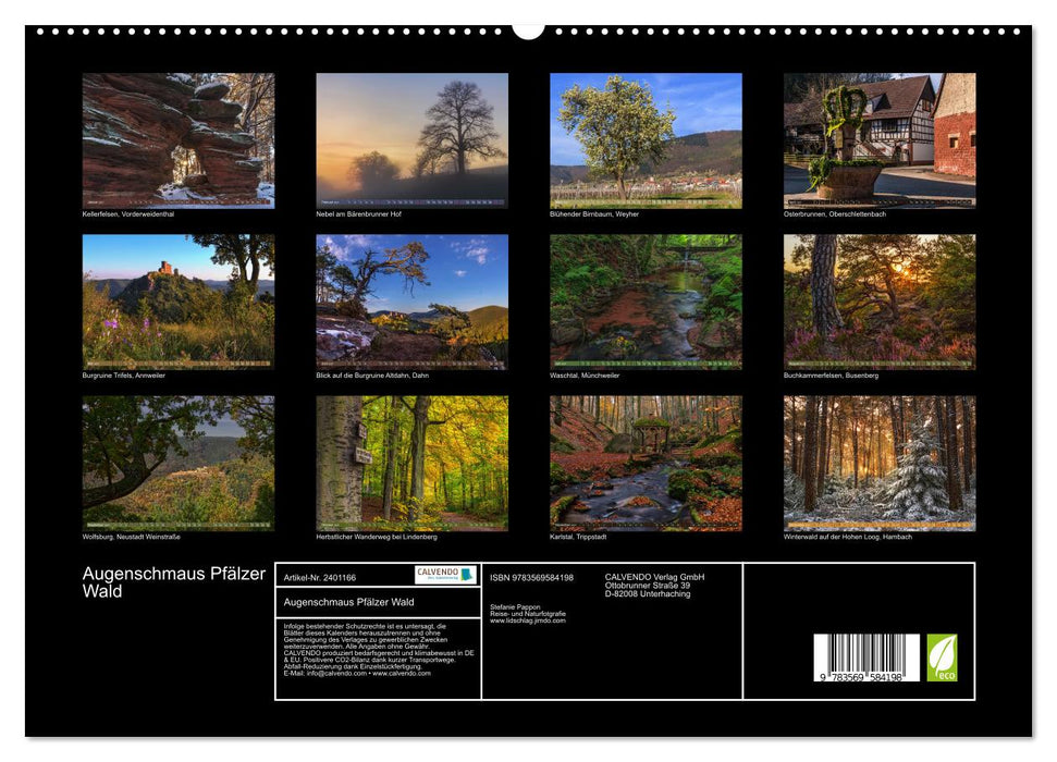 Augenschmaus Pfälzer Wald (CALVENDO Premium Wandkalender 2027)