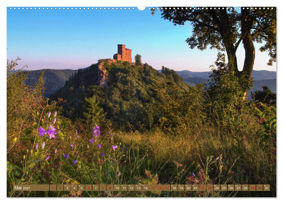 Augenschmaus Pfälzer Wald (CALVENDO Premium Wandkalender 2027)