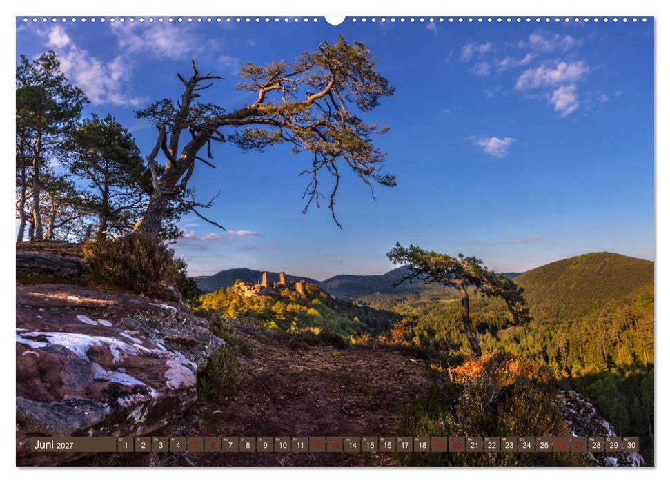 Augenschmaus Pfälzer Wald (CALVENDO Premium Wandkalender 2027)