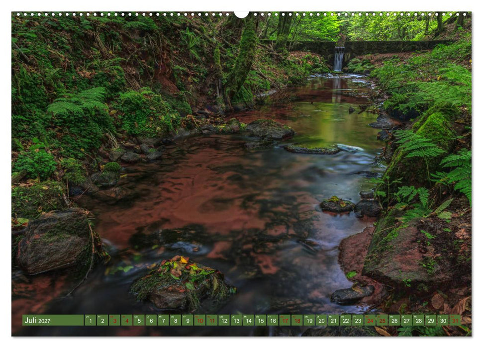 Augenschmaus Pfälzer Wald (CALVENDO Premium Wandkalender 2027)