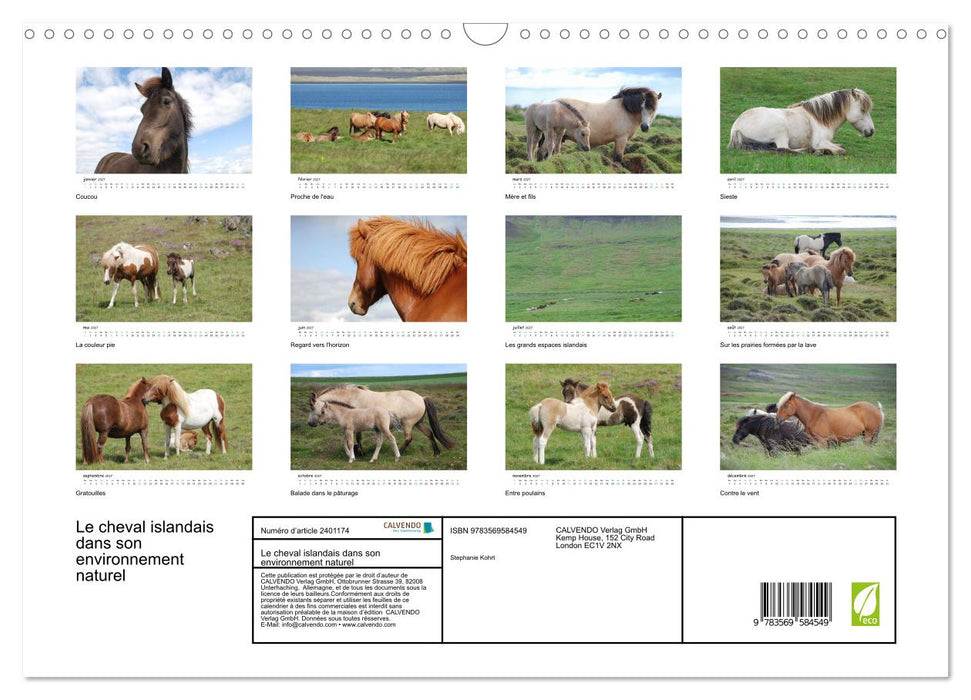 Le cheval islandais dans son environnement naturel (CALVENDO Calendrier mensuel 2027)