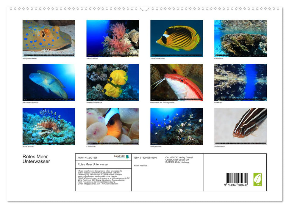 Rotes Meer Unterwasser (CALVENDO Premium Wandkalender 2027)