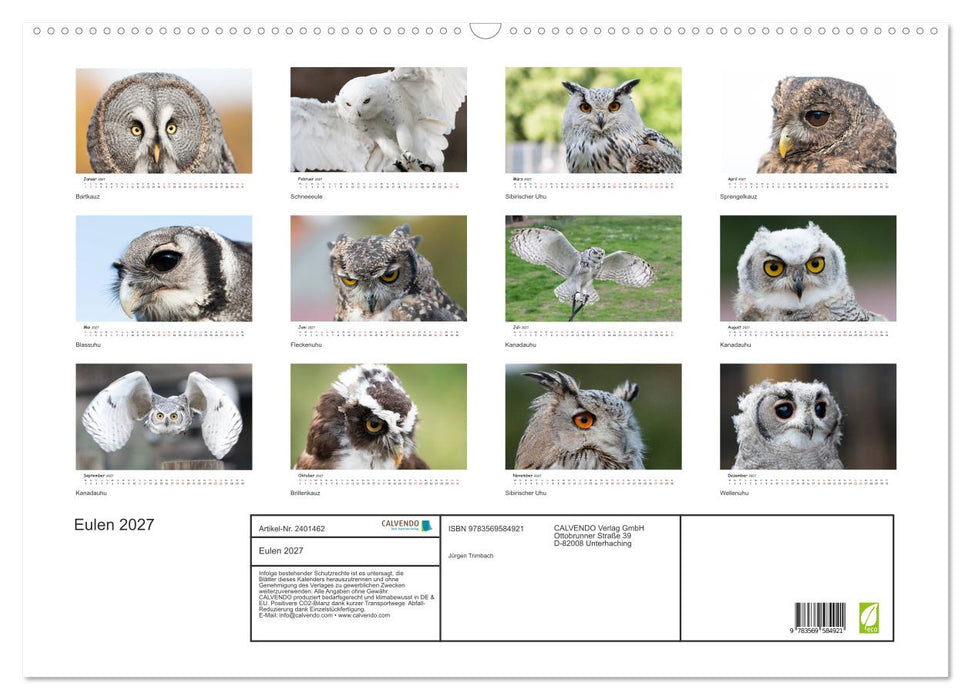 Eulen 2027 (CALVENDO Wandkalender 2027)