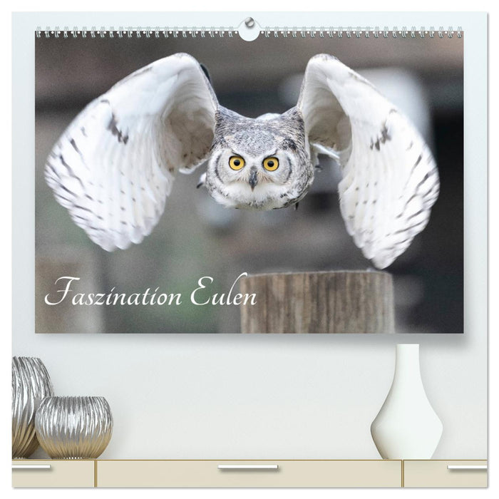 Faszination Eulen (CALVENDO Premium Wandkalender 2027)