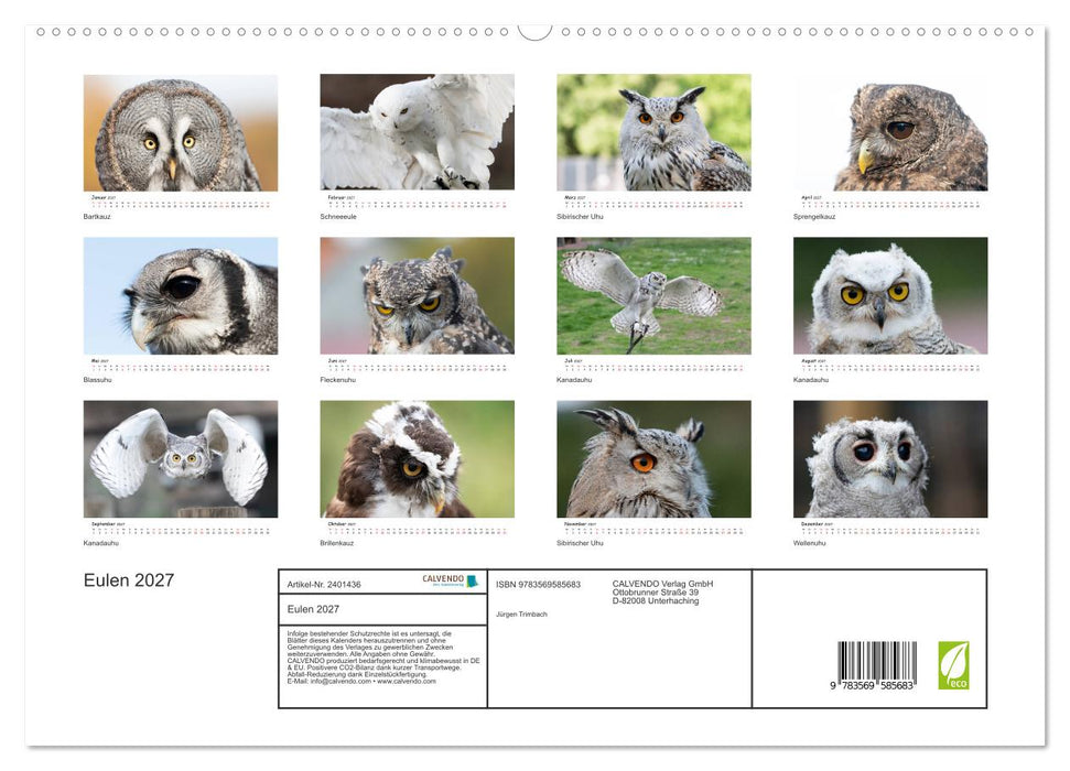 Eulen 2027 (CALVENDO Premium Wandkalender 2027)