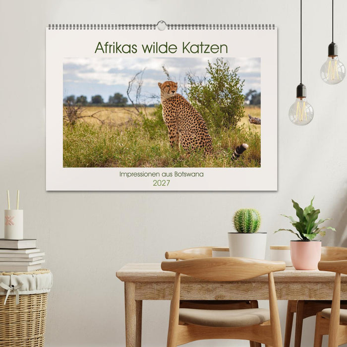 Afrikas wilde Katzen (CALVENDO Wandkalender 2027)