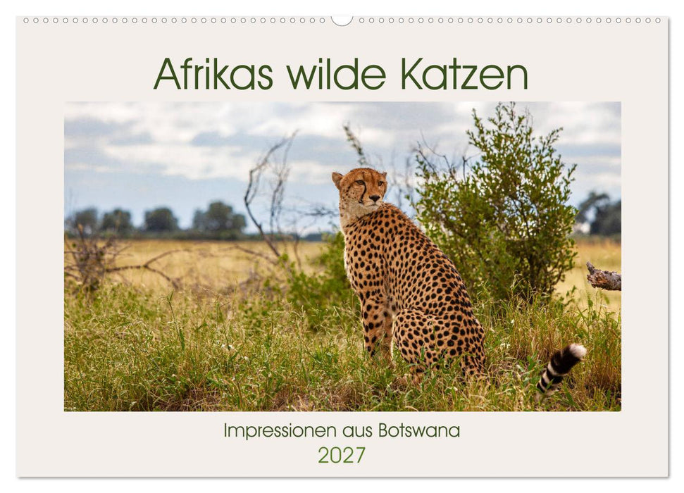 Afrikas wilde Katzen (CALVENDO Wandkalender 2027)
