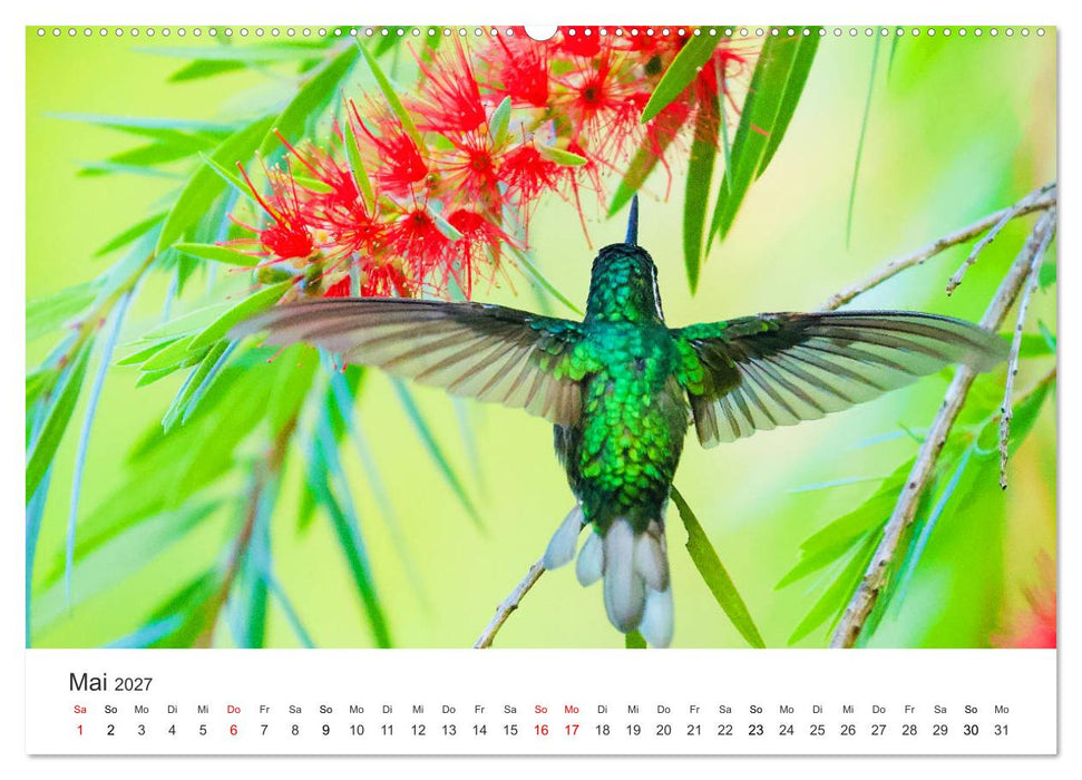 Costa Rica - exotische Tierwelt und unberührte Natur (CALVENDO Premium Wandkalender 2027)