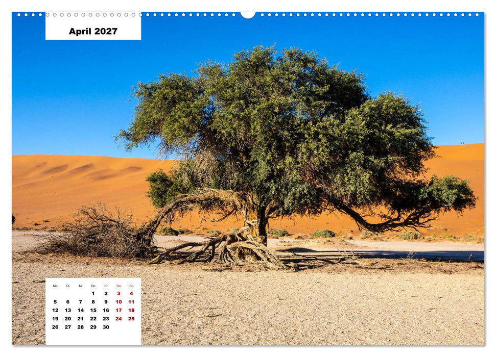 Magische Wüste - Die Namib (CALVENDO Wandkalender 2027)