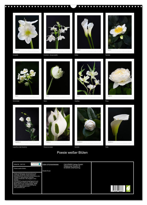 Poesie weißer Blüten (CALVENDO Wandkalender 2027)