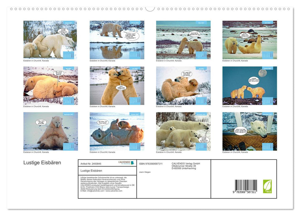 Lustige Eisbären (CALVENDO Premium Wandkalender 2027)