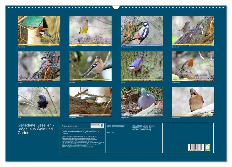 Gefiederte Gesellen - Vögel aus Wald und Garten (CALVENDO Wandkalender 2027)