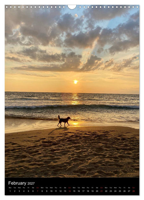 Mysterious Bali (CALVENDO Monthly Calendar 2027)