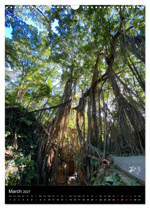 Mysterious Bali (CALVENDO Monthly Calendar 2027)
