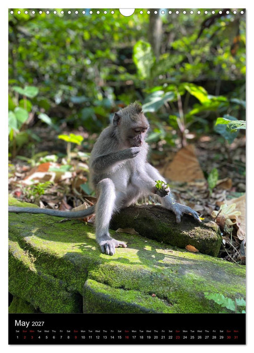Mysterious Bali (CALVENDO Monthly Calendar 2027)