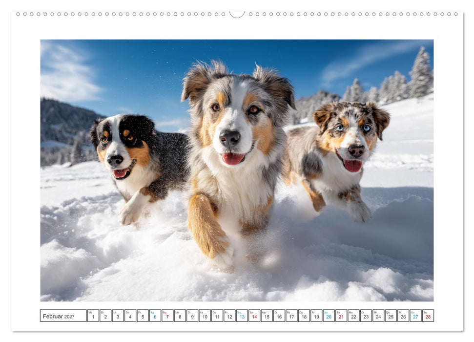 Zauberhafte Fellnasen (CALVENDO Wandkalender 2027)